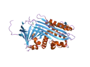 2arr: Human plasminogen activator inhibitor-2.[loop (66-98) deletion mutant] complexed with peptide n-acetyl-teaaagmggvmtgr-oh