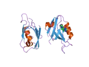 2awx: Synapse associated protein 97 PDZ2 domain variant C378S