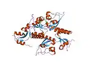 2b2u: Tandem chromodomains of human CHD1 complexed with Histone H3 Tail containing trimethyllysine 4 and dimethylarginine 2