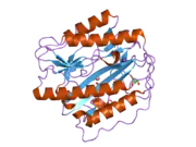 2b3h: Crystal structure of Human Methionine Aminopeptidase Type I with a third cobalt in the active site