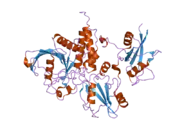 2b3o: Crystal structure of human tyrosine phosphatase SHP-1
