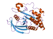 2b49: Crystal Structure of the Catalytic Domain of Protein Tyrosine Phosphatase, non-receptor Type 3