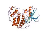2b53: Human cyclin dependent kinase 2 (CDK2) complexed with DIN-234325