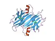 2b77: Human transthyretin (TTR) complexed with Diflunisal analogues- TTR.2',4'-DICHLORO-4-HYDROXY-1,1'-BIPHENYL-3-CARBOXYLIC ACID