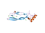 2bhk: CRYSTAL STRUCTURE OF HUMAN GROWTH AND DIFFERENTIATION FACTOR 5 (GDF5)