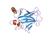 2bio: HUMAN P53 CORE DOMAIN MUTANT M133L-V203A-N239Y-R249S-N268D