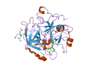 2bvs: HUMAN THROMBIN COMPLEXED WITH FRAGMENT-BASED SMALL MOLECULES OCCUPYING THE S1 POCKET