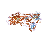 2by4: SR CA(2+)-ATPASE IN THE HNE2 STATE COMPLEXED WITH THE THAPSIGARGIN DERIVATIVE BOC-12ADT.