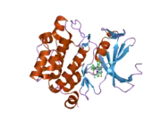 2bzj: CRYSTAL STRUCTURE OF THE HUMAN PIM1 IN COMPLEX WITH A RUTHENIUM ORGANOMETALLIC LIGAND RU3