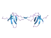 2bzy: DIMERIC OF CRKL-SH3C DOMAIN