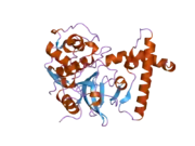 2c0y: THE CRYSTAL STRUCTURE OF A CYS25ALA MUTANT OF HUMAN PROCATHEPSIN S