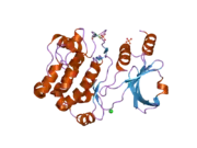 2c30: CRYSTAL STRUCTURE OF THE HUMAN P21-ACTIVATED KINASE 6