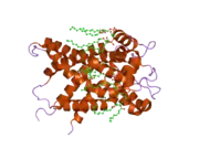 2c3e: THE BOVINE MITOCHONDRIAL ADP-ATP CARRIER