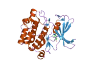 2c3i: CRYSTAL STRUCTURE OF HUMAN PIM1 IN COMPLEX WITH IMIDAZOPYRIDAZIN I