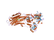 2c8k: CRYSTAL STRUCTURE OF (SR) CALCIUM-ATPASE E2(TG) WITH PARTIALLY OCCUPIED AMPPCP SITE