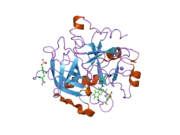 2c8w: THROMBIN INHIBITORS