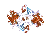 2ckq: CRYSTAL STRUCTURE OF HUMAN CHOLINE KINASE ALPHA 2 IN COMPLEX WITH PHOSPHOCHOLINE