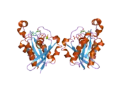 2cls: THE CRYSTAL STRUCTURE OF THE HUMAN RND1 GTPASE IN THE ACTIVE GTP BOUND STATE