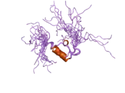 2coo: Solution structure of the e3_binding domain of dihydrolipoamide branched chaintransacylase