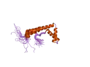 2crj: Solution structure of the HMG domain of mouse HMG domain protein HMGX2