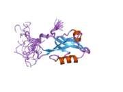 2d92: Solution structure of the fifth PDZ domain of InaD-like protein