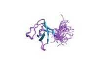 2da9: Solution structure of the third SH3 domain of SH3-domain kinase binding protein 1 (Regulator of ubiquitous kinase, Ruk)