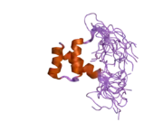 2djn: The solution structure of the homeobox domain of human Homeobox protein DLX-5