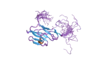 2dks: Solution structure of the first IG-like domain of human carcinoembryonic antigen related cell adhesion molecule 8