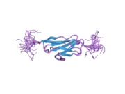 2dku: Solution structure of the third Ig-like domain of human KIAA1556 protein