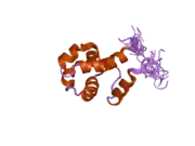 2dkx: Solution structure of the SAM_PNT-domain of ETS transcription factor PDEF (Prostate ets)