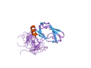 2dne: Solution Structure of RSGI RUH-058, a lipoyl domain of human 2-oxoacid dehydrogenase