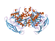 2dsb: Crystal structure of human ADP-ribose pyrophosphatase NUDT5