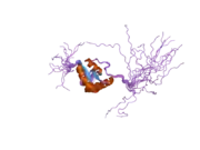 2dun: Solution structure of BRCT domain of DNA polymerase mu