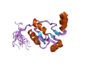 2e2w: Solution structure of the first BRCT domain of human DNA ligase IV