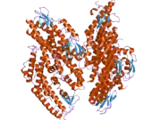 2e9x: The crystal structure of human GINS core complex