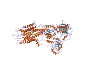 2ear: P21 crystal of the SR CA2+-ATPase with bound TG