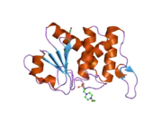 2esb: Crystal structure of human DUSP18