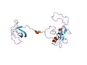 2eyy: CT10-Regulated Kinase isoform I