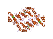 2f37: Crystal structure of the ankyrin repeat domain of human TRPV2