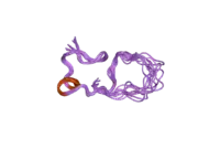 2f5h: Solution structure of the alpha-domain of human Metallothionein-3