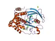 2f6t: Protein tyrosine phosphatase 1B with sulfamic acid inhibitors