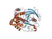 2f6z: Protein tyrosine phosphatase 1B with sulfamic acid inhibitors