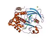 2f70: Protein tyrosine phosphatase 1B with sulfamic acid inhibitors