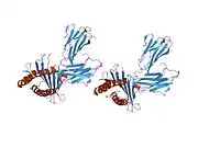 2f74: Murine MHC class I H-2Db in complex with human b2-microglobulin and LCMV-derived immunodminant peptide gp33