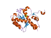 2fbx: WRN exonuclease, Mg complex