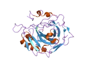 2fnn: Activation of human carbonic anhydrase II by exogenous proton donors