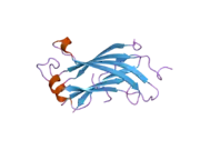 2foj: The crystal structure of the N-terminal domain of HAUSP/USP7 complexed with p53 peptide 364-367