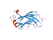 2foo: The crystal structure of the N-terminal domain of HAUSP/USP7 complexed with p53 peptide 359-362