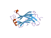 2fop: The crystal structure of the N-terminal domain of HAUSP/USP7 complexed with mdm2 peptide 147-150