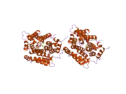 2fp0: human ADP-ribosylhydrolase 3